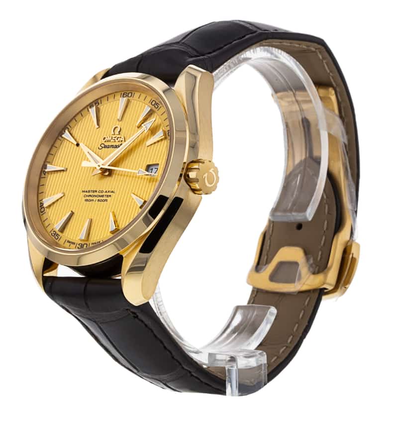 Omega Aqua Terra 150m Gents 231.53.42.21.08.001